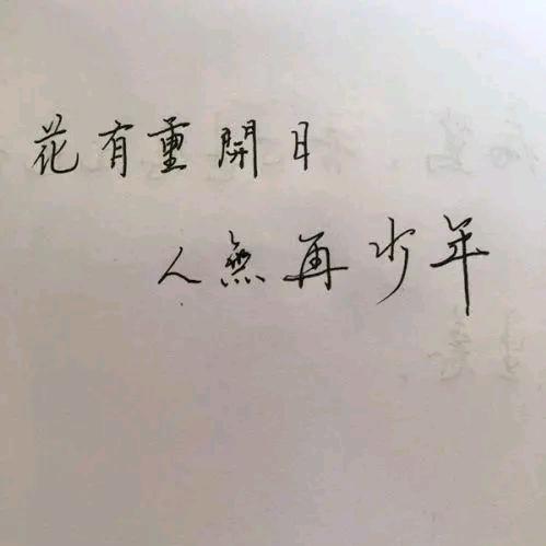算了吧！