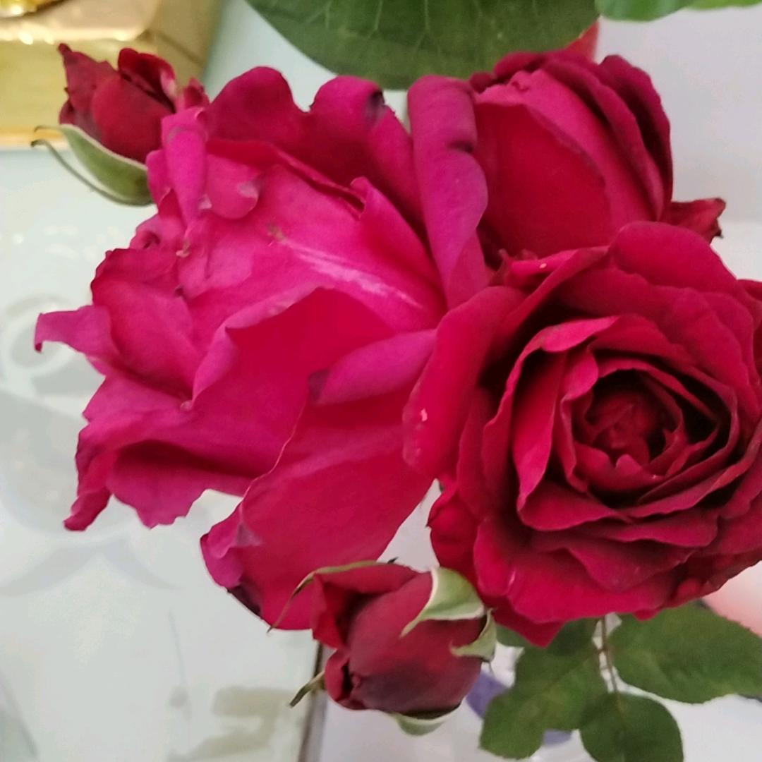 用户6557998151967知足常乐