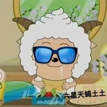 阳光天蝎