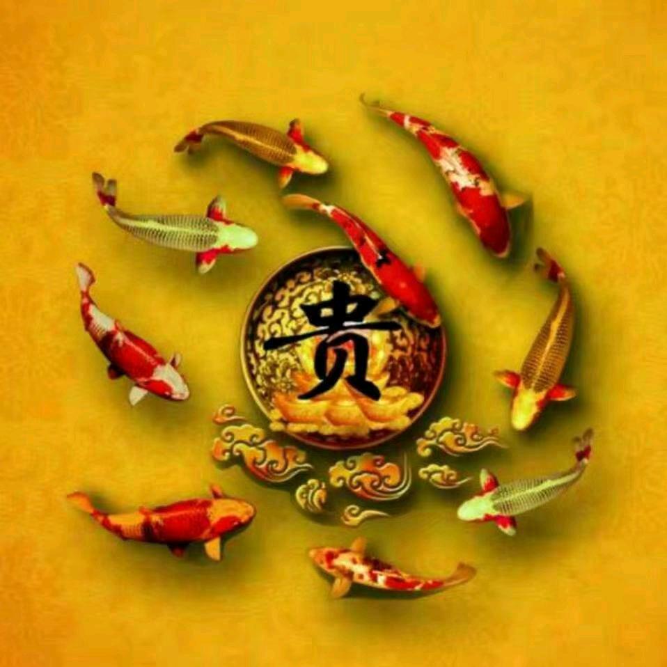 火龙灸中医养生