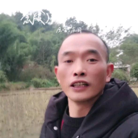隐身守候