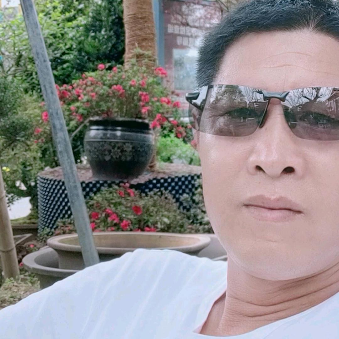 绿地苗木