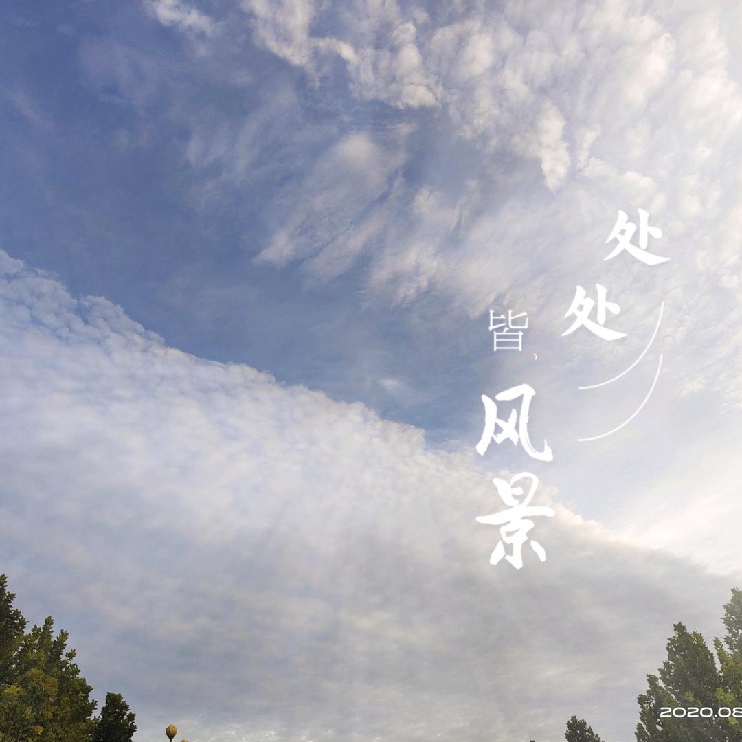 芒果