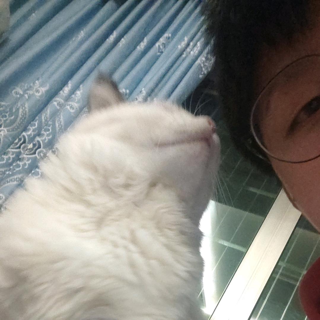 🐰半夏的茵🥕