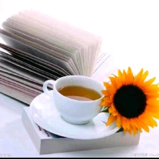 浅笑安然🌾💫