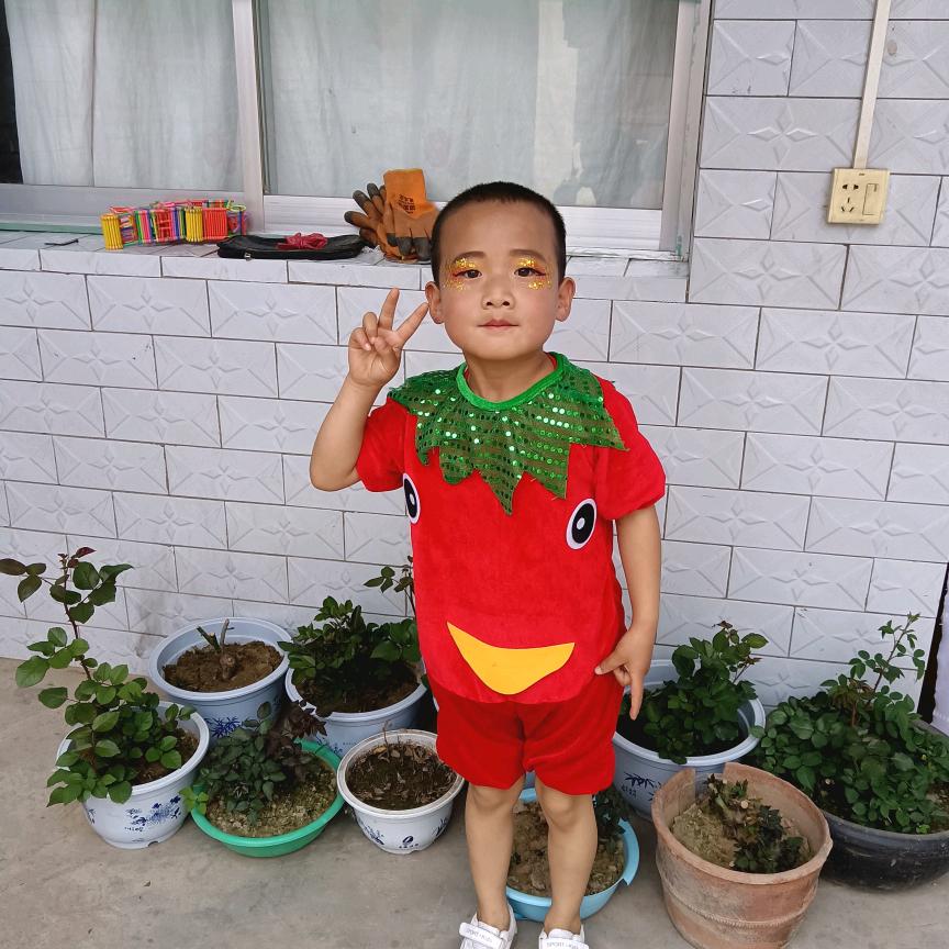 一场游戏一场梦