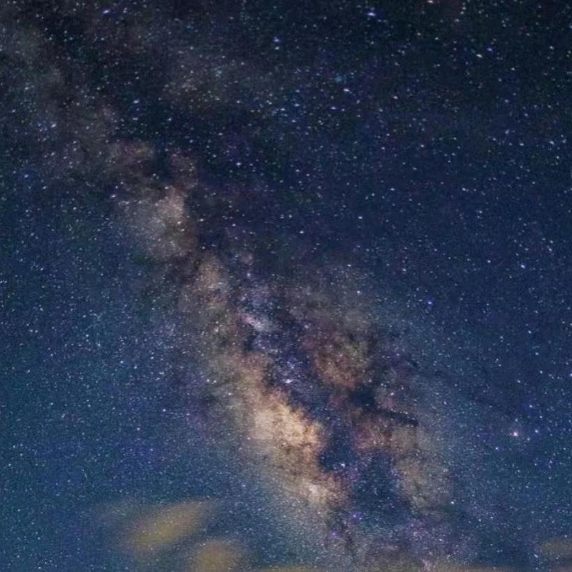 🐰花开花落🍑