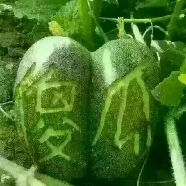 我是一个傻瓜