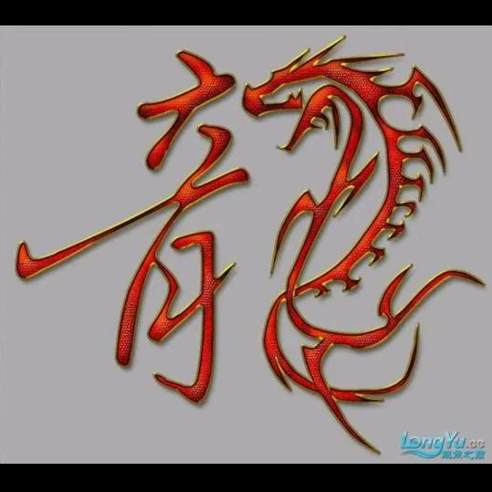 心（´◔౪◔）动便是（´◔౪◔）劫