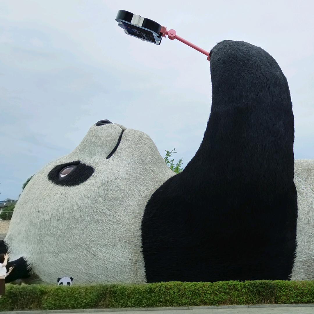 醒不来的孟