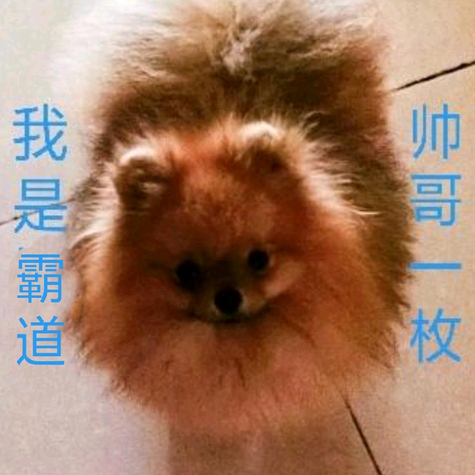 薇薇乐宠家族