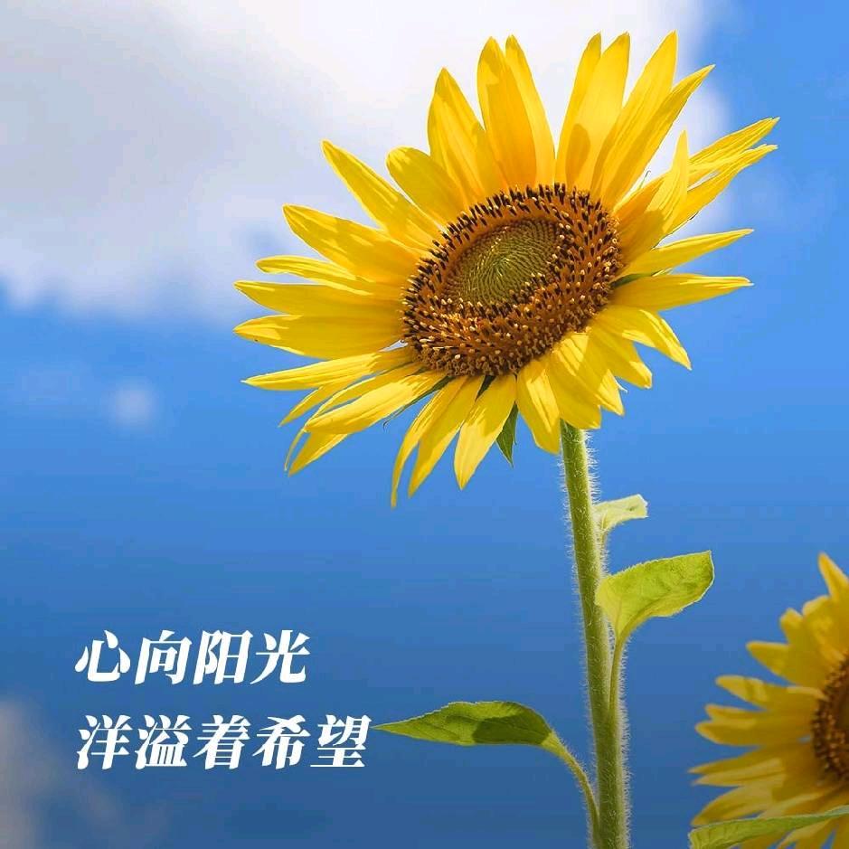 @80后已不再年轻