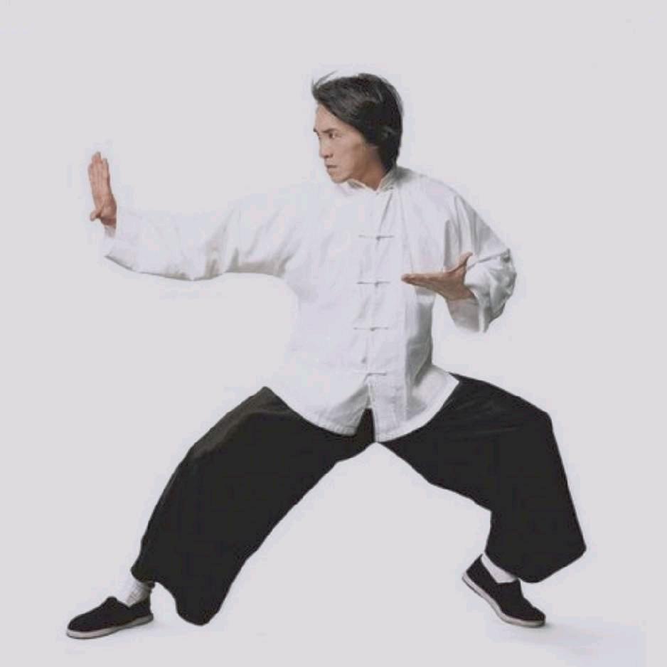 「天龙太极」张自立