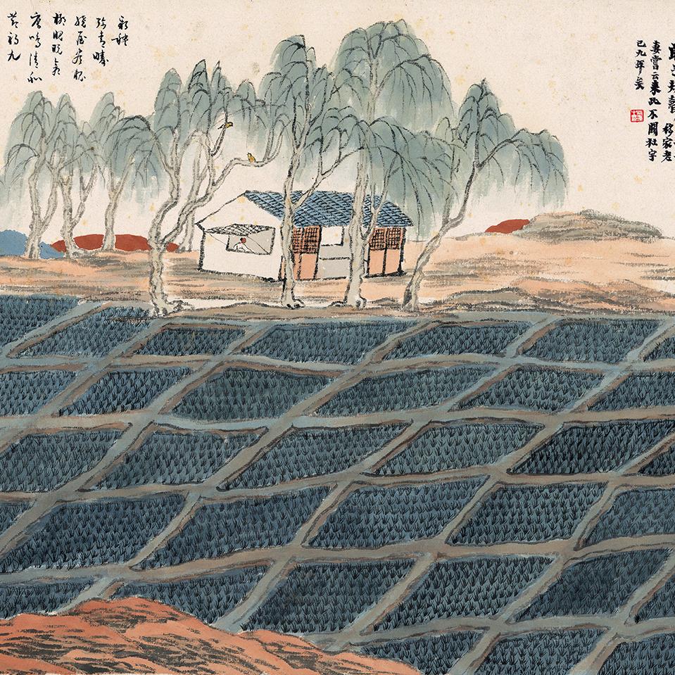 独善其身🌿🕊