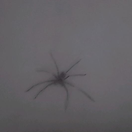 抖一抖，精神好