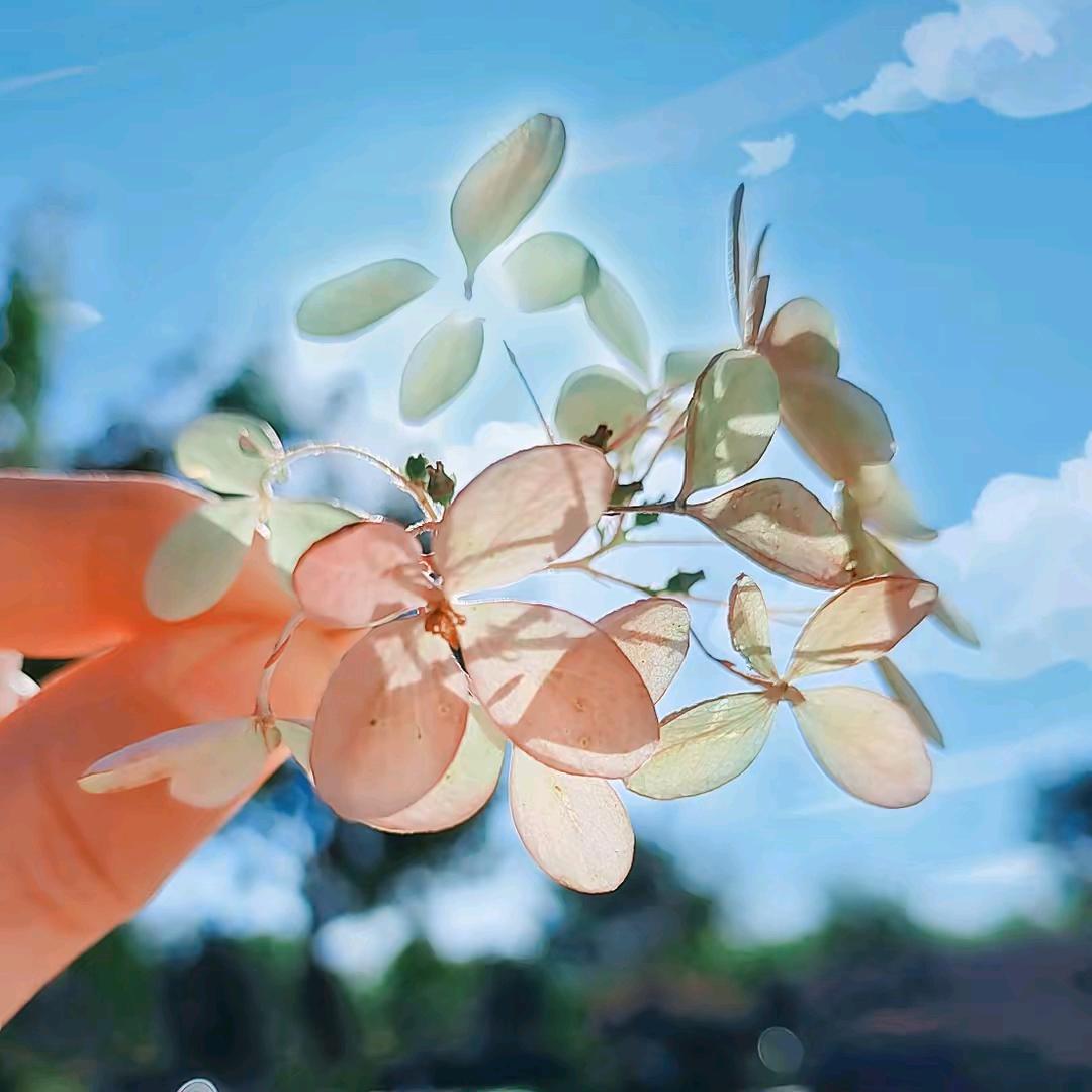 时光的河