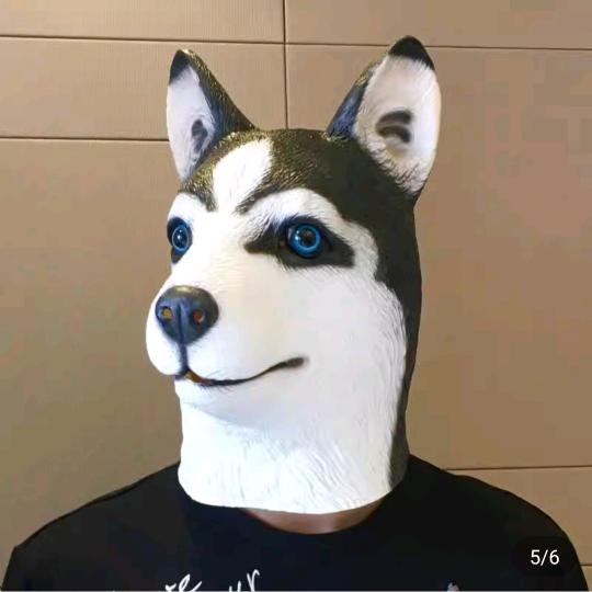 小代顾问