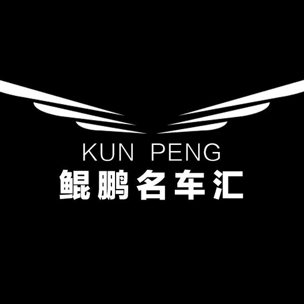 青岛鲲鹏汽车
