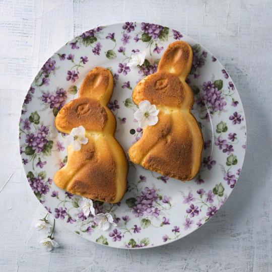 小虫哥·首播新人