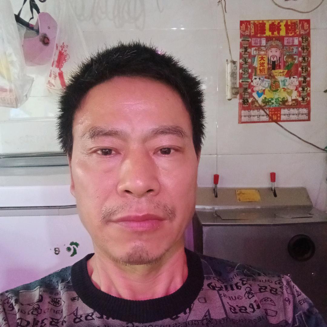 杨柳树