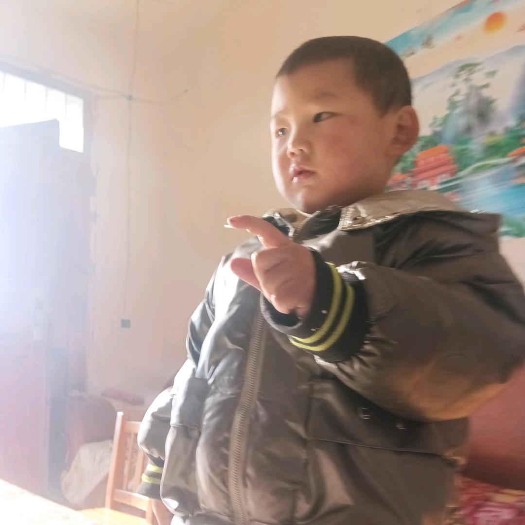 春华秋实