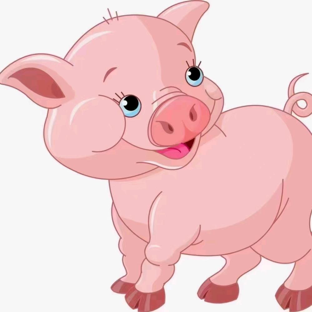 莱芜赢众肉联厂💞山东赢众食品有限公司