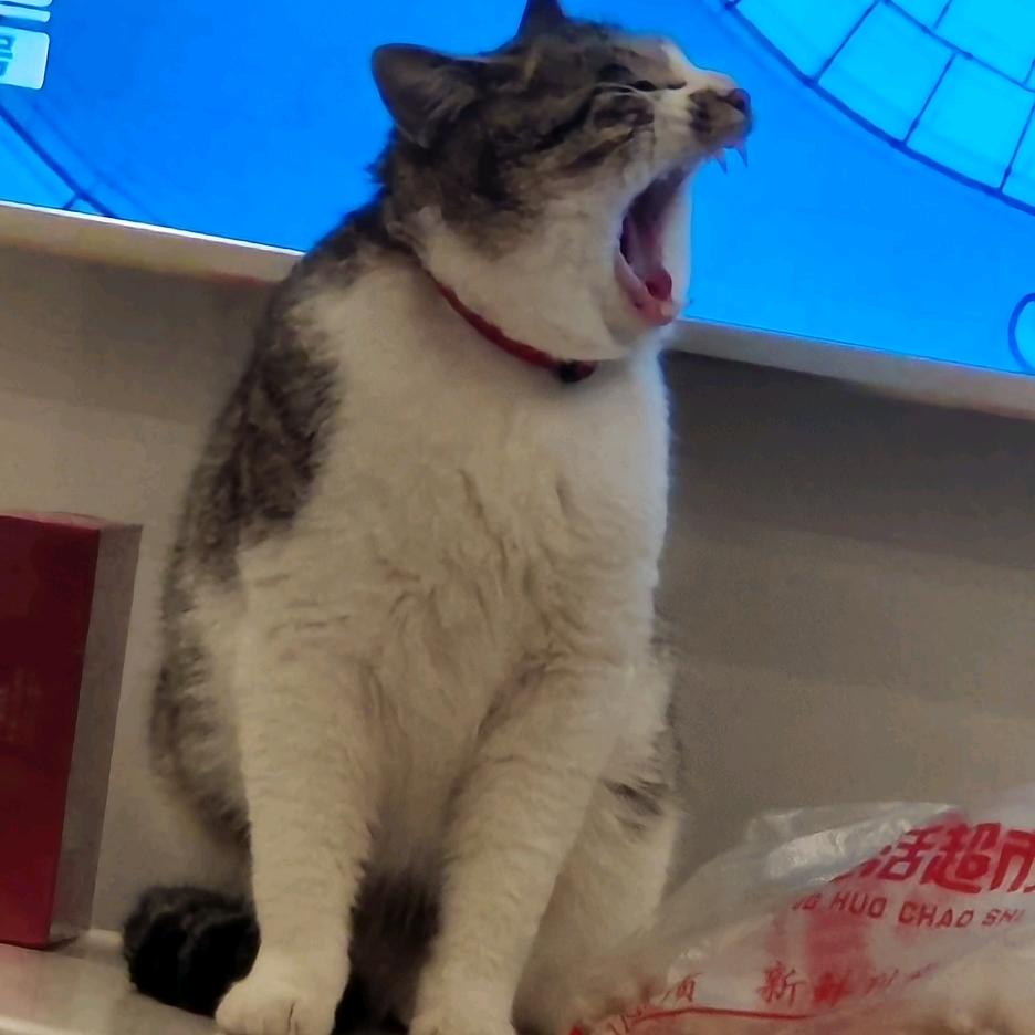 唯    一