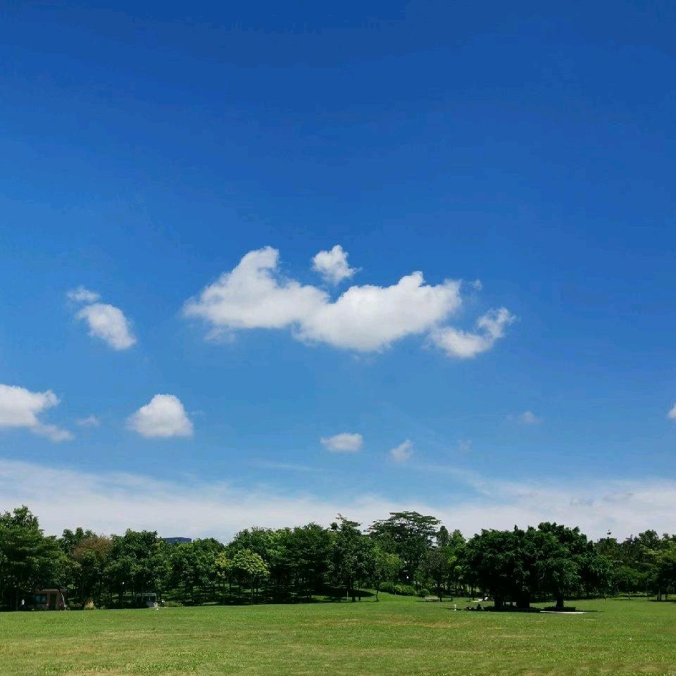 云飞177