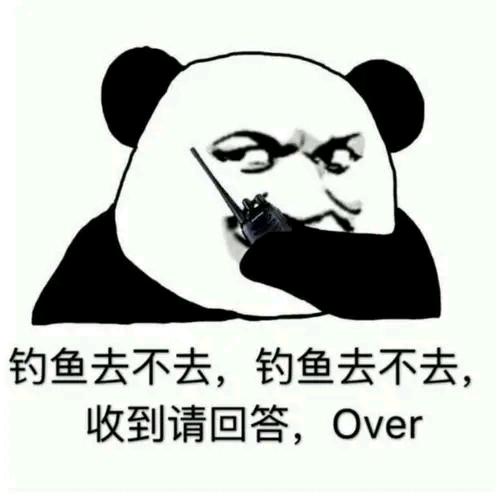 自由且随意