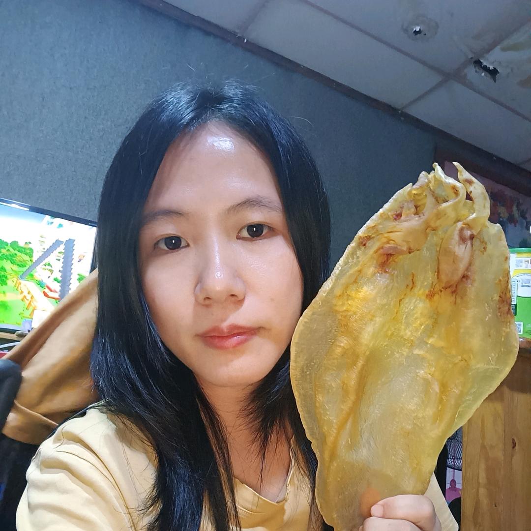 Kelly中委鱼胶