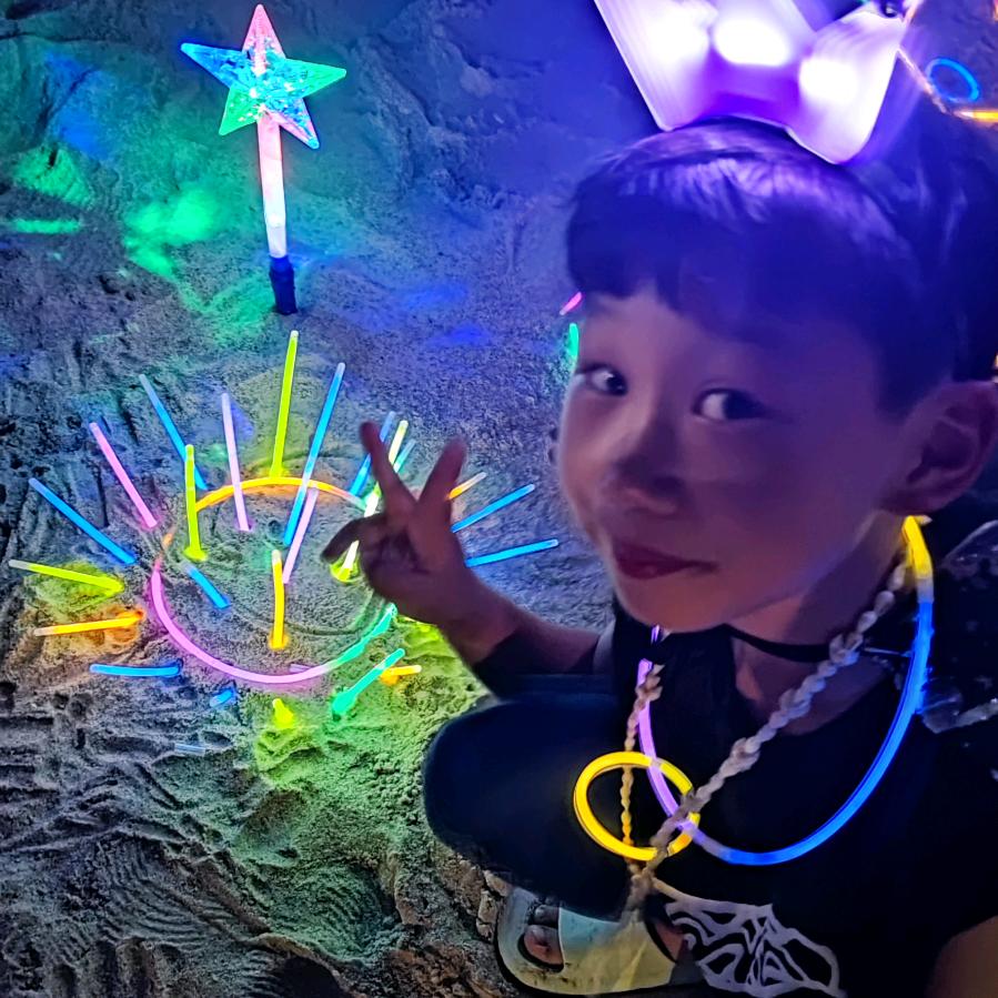 慢慢长大的豆子