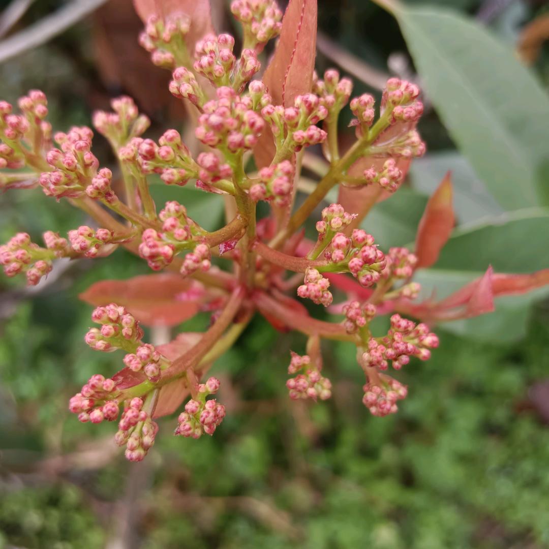 来世绝不踏凡间