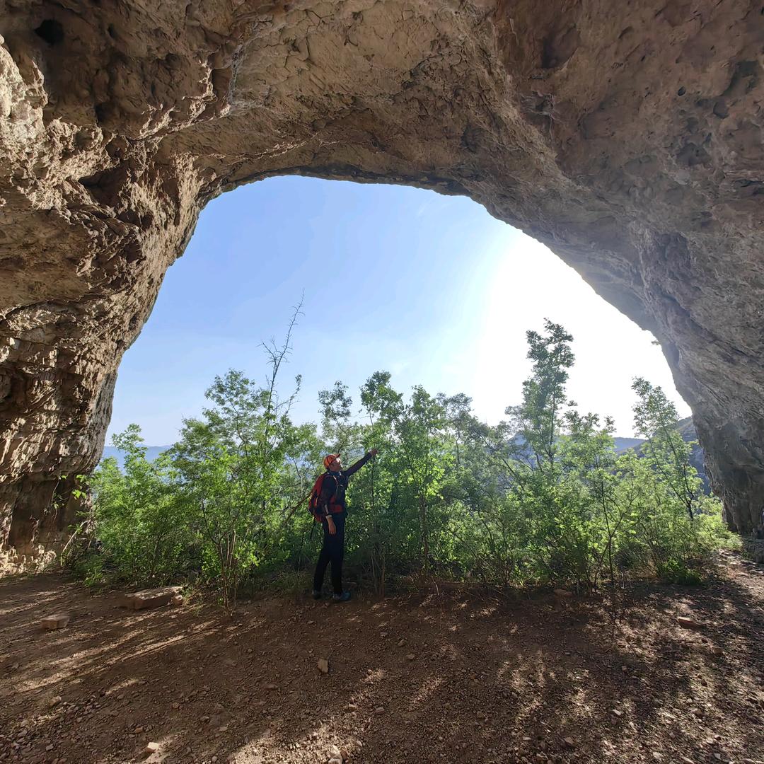 陈大喵 锈斑豹猫