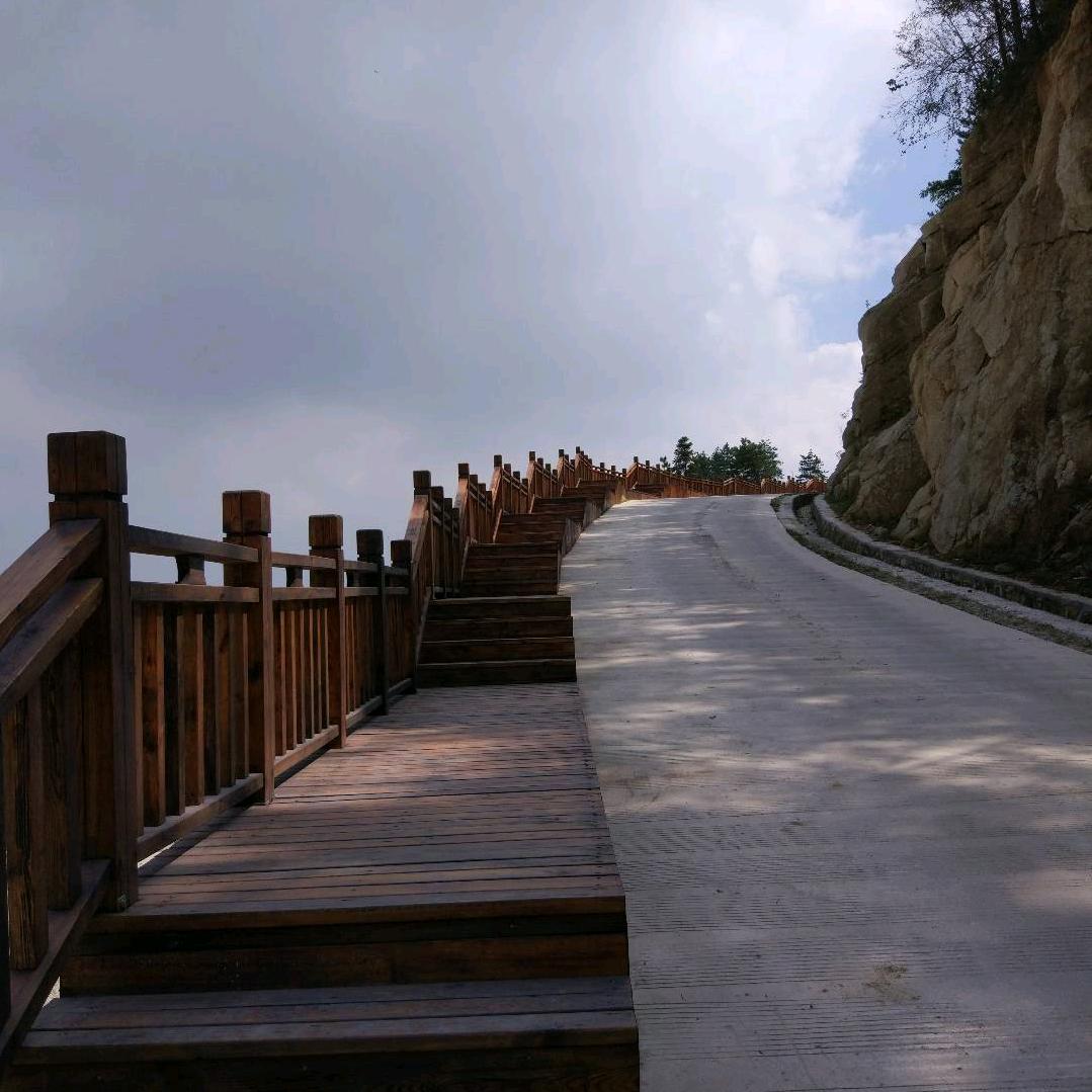 鹏哥看风景