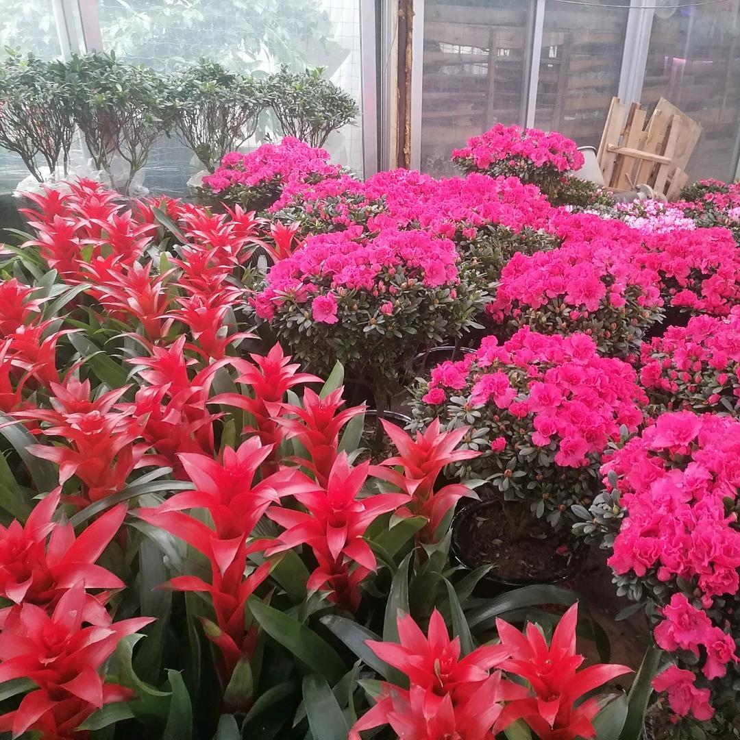 淋漓尽致