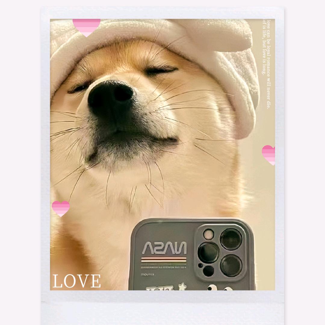 白云很白