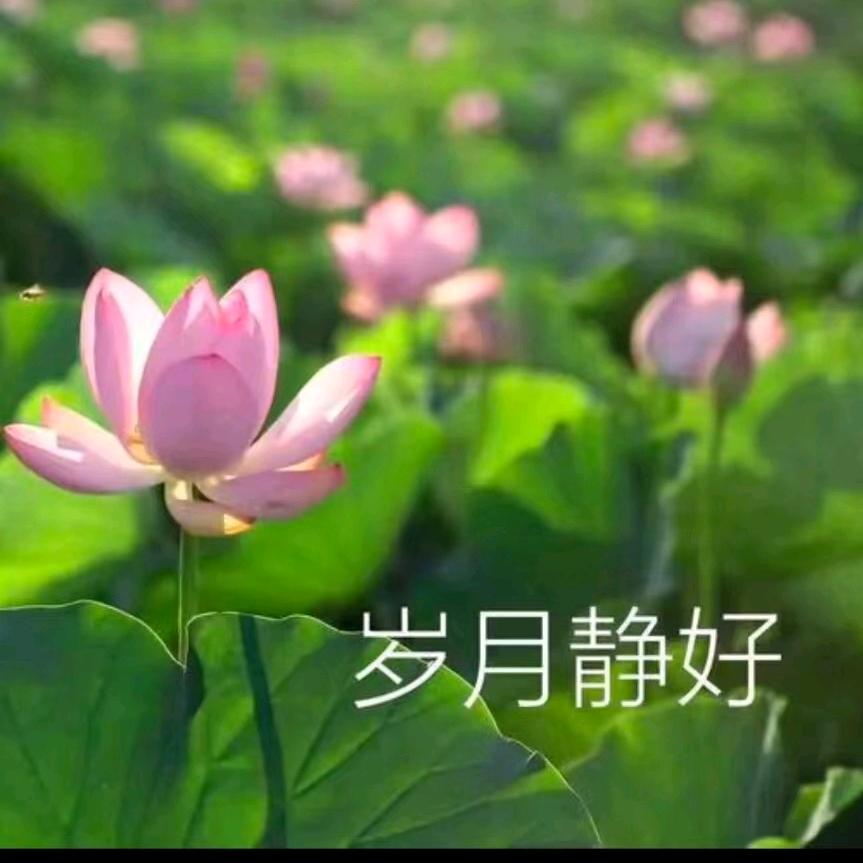 笑对人生