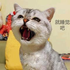 想你的时候问月亮🌙