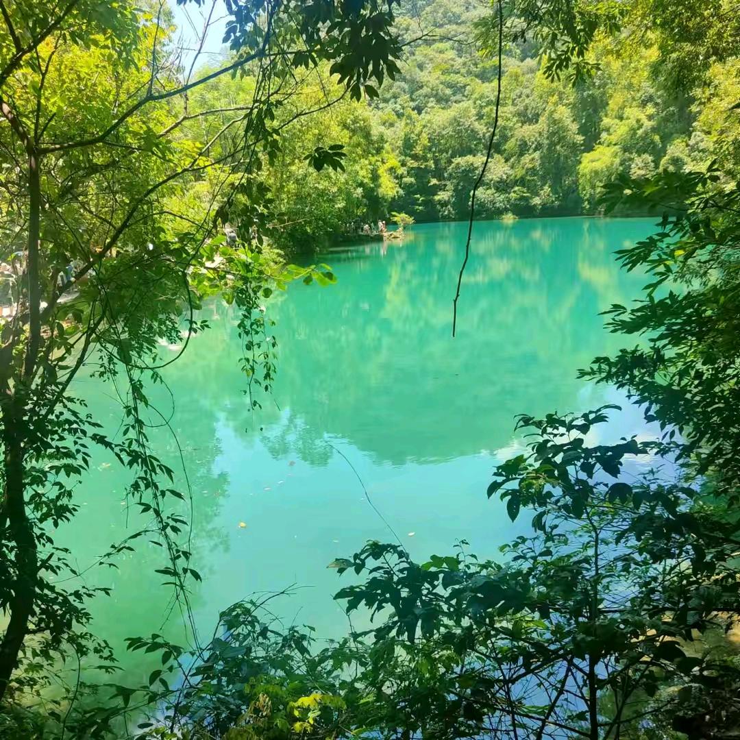 @ღ֯浮生醉清风ౢ