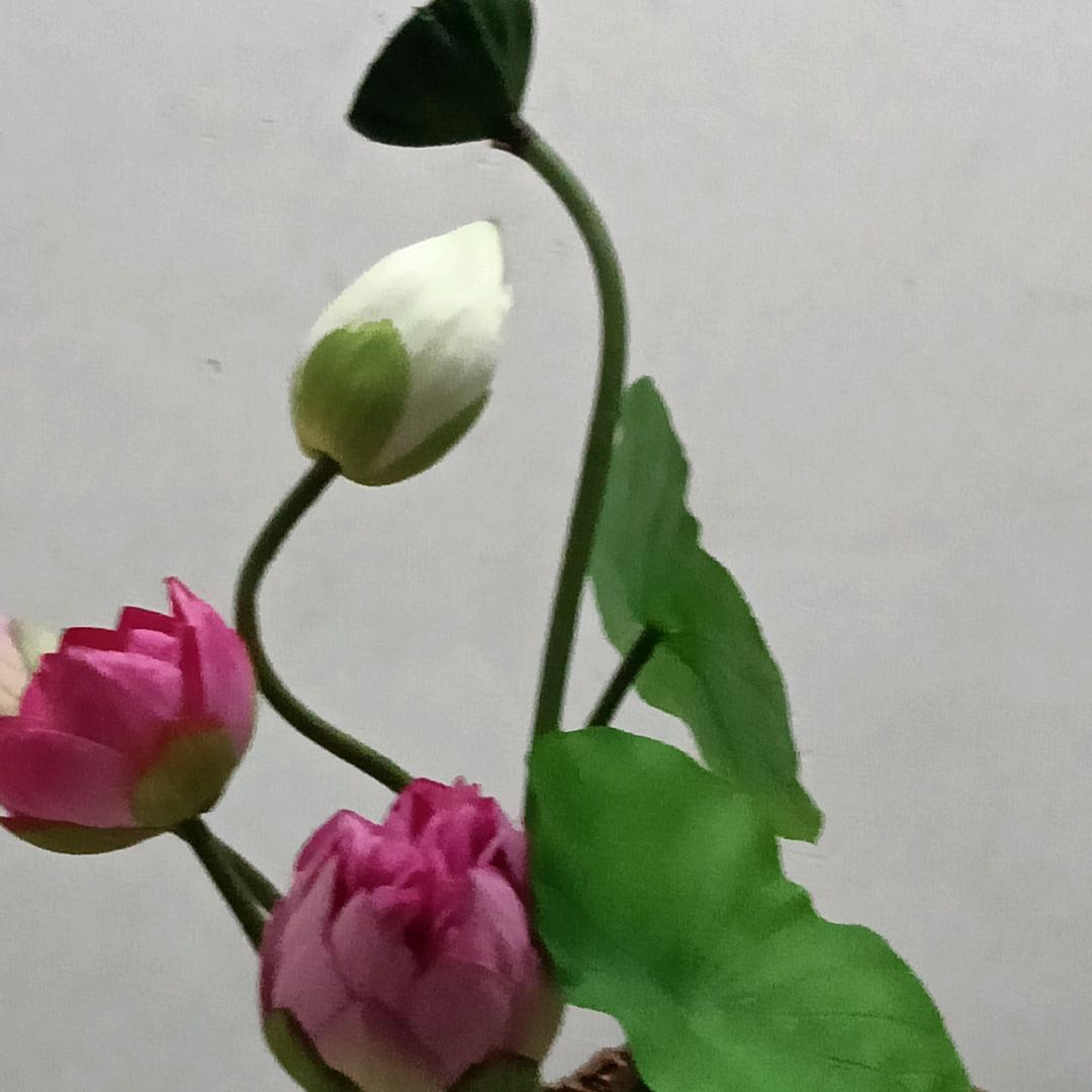 平平淡淡的人生