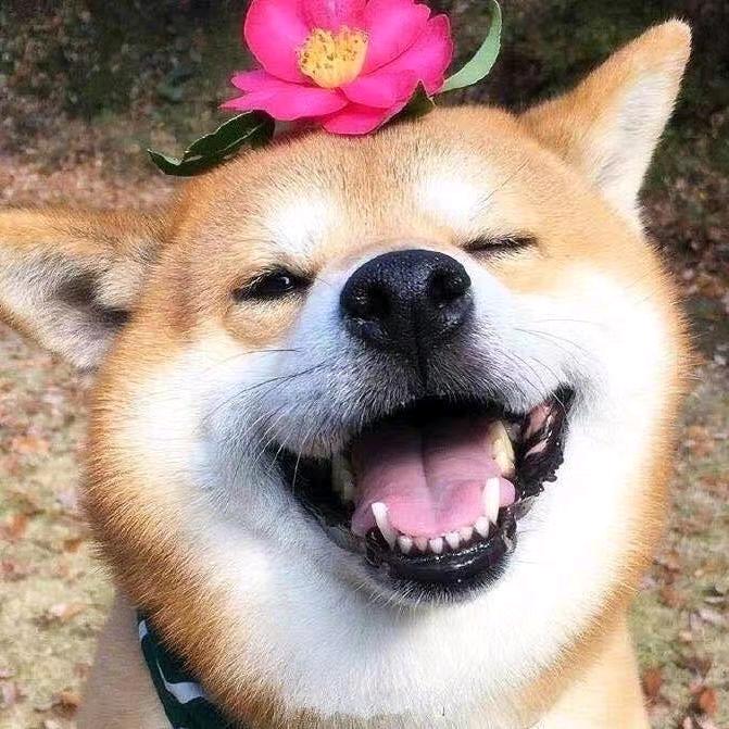 得不到就毁掉
