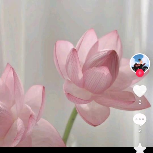 用户745236969818