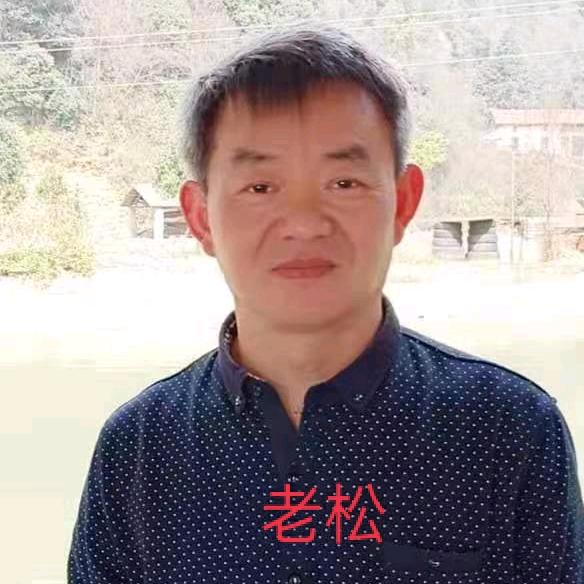 爱跑步的老松