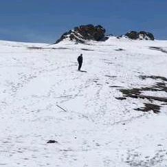 张湛东