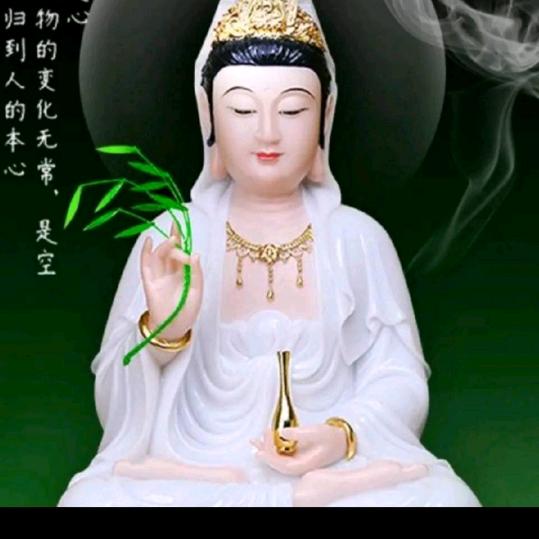 🙏结善缘1🙏