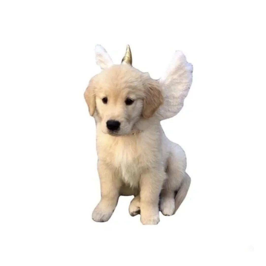 粗莓蛋糕啦
