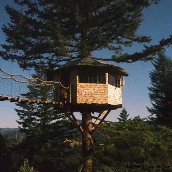 野外建造生存达人