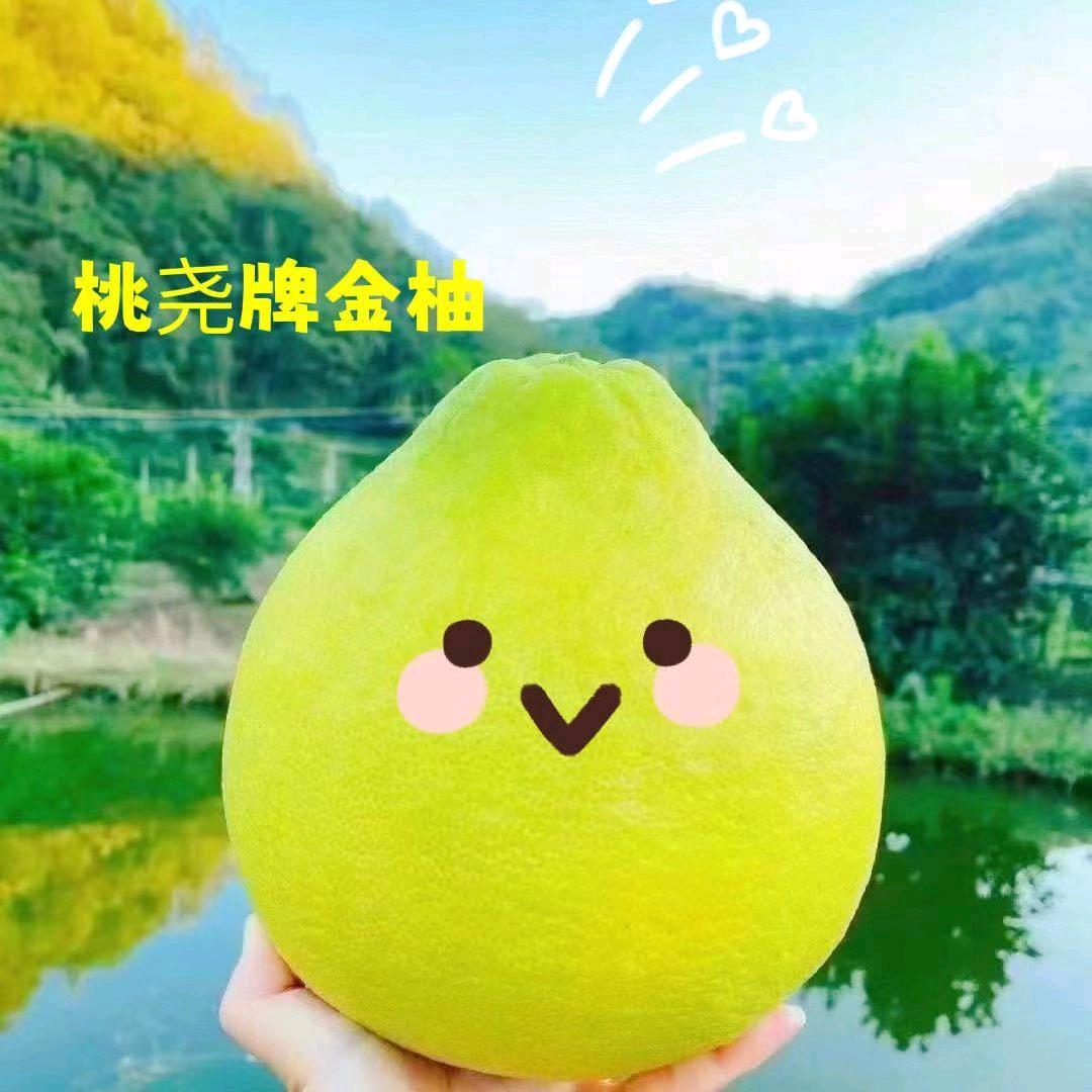 阿三家庭农场@龙