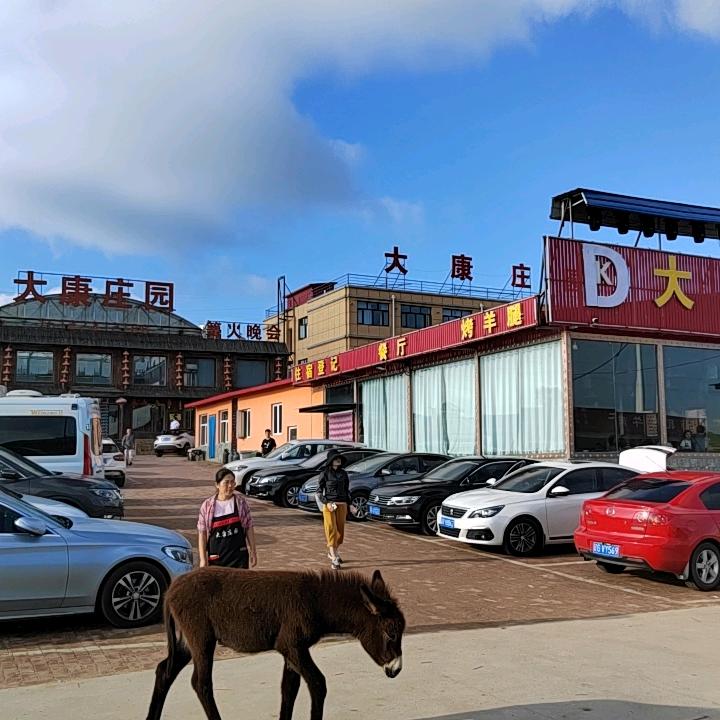 张北草原天路大康庄园