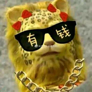 邵东华总